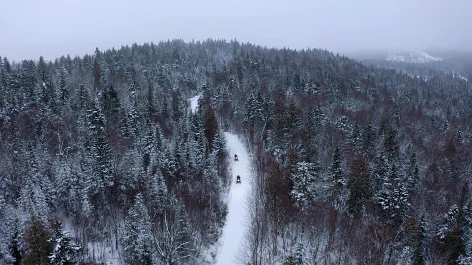 Paysage d'hiver